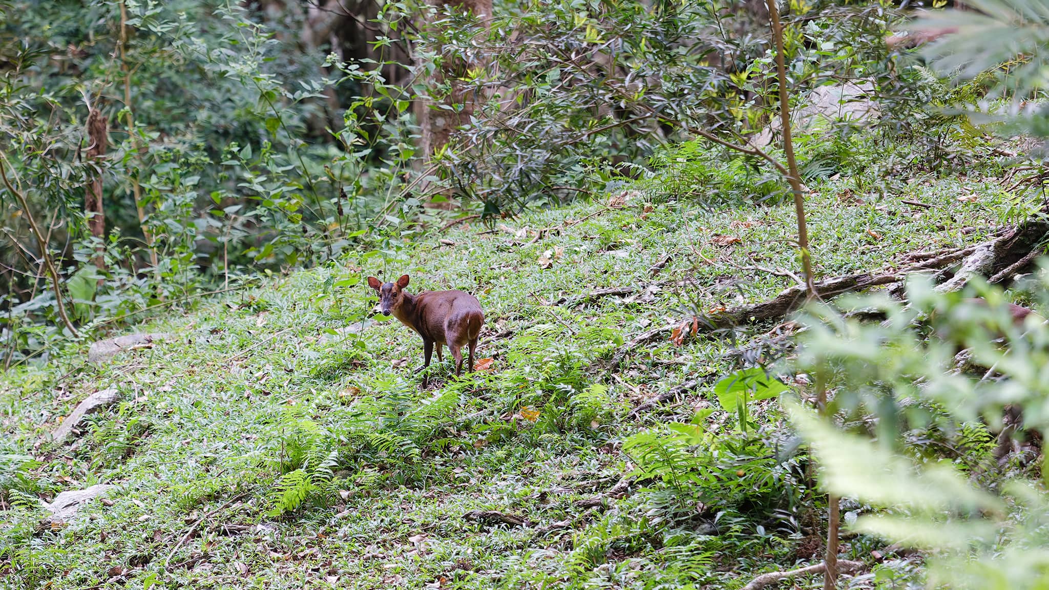 07 - Chishang (6).jpg